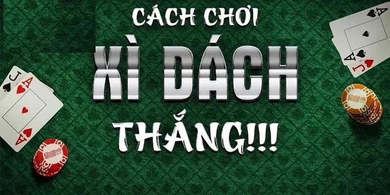 xi-dach-3
